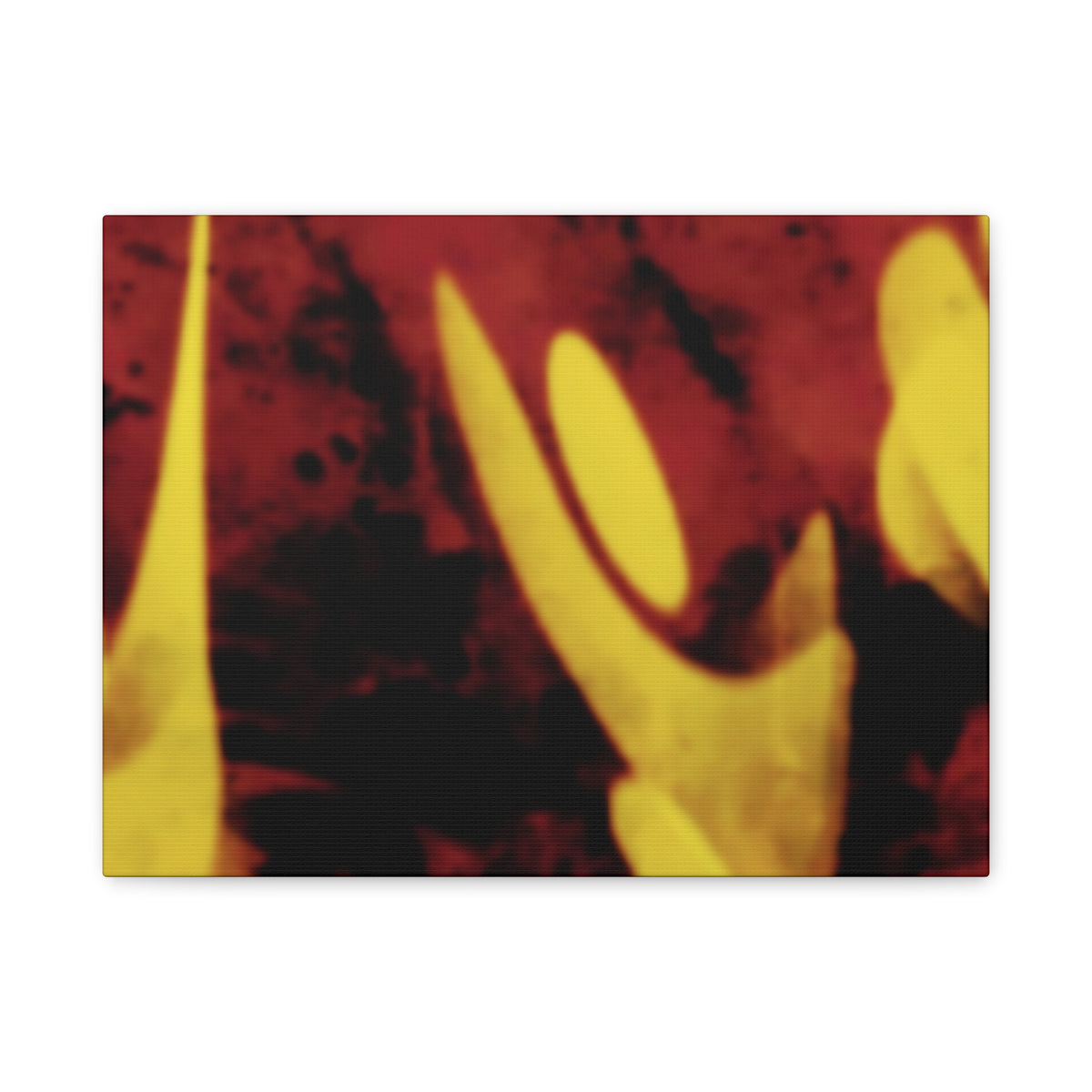 SnapCanvas