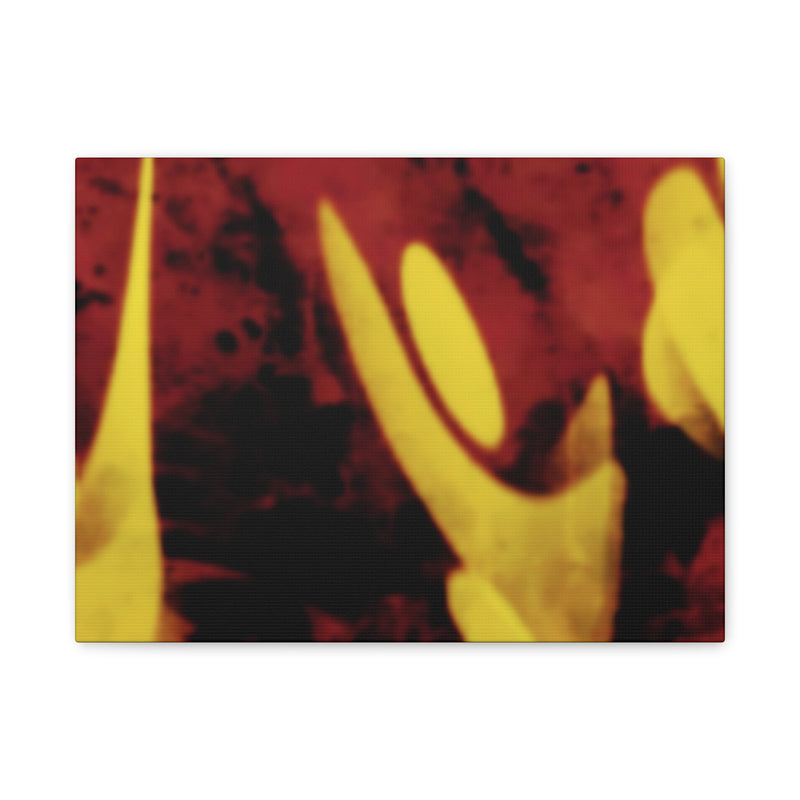 SnapCanvas
