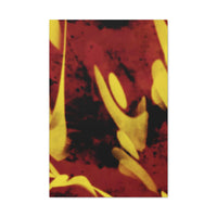 SnapCanvas