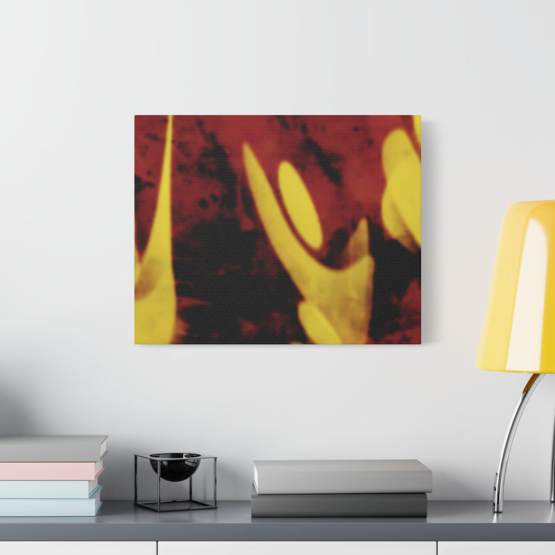 SnapCanvas