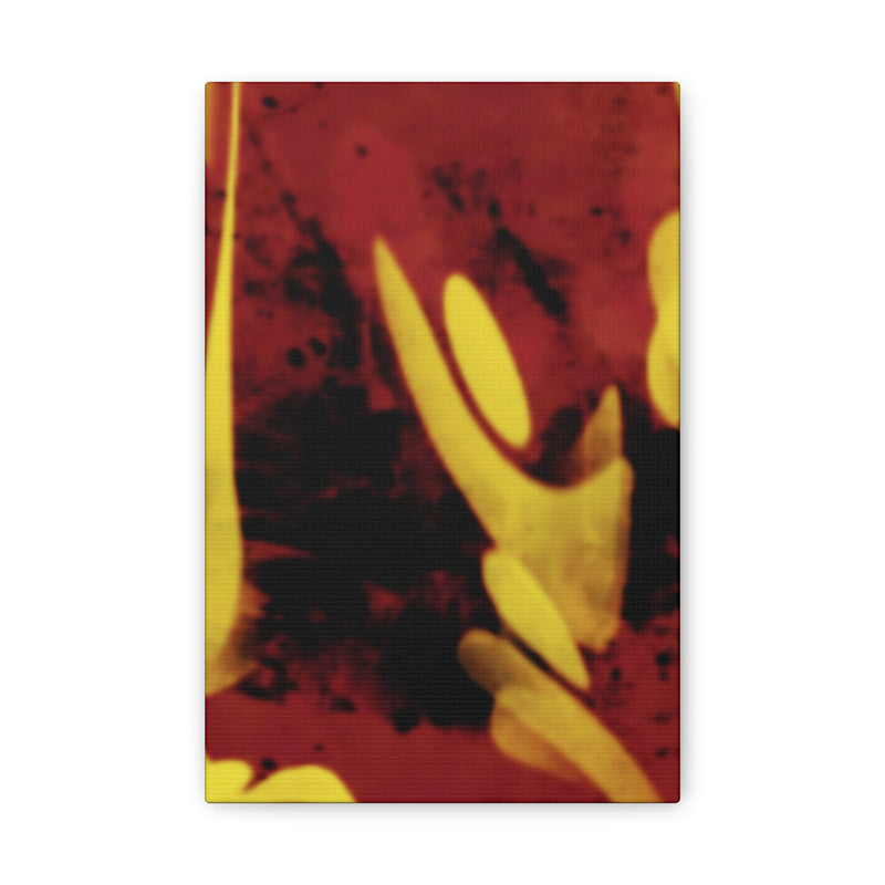 SnapCanvas
