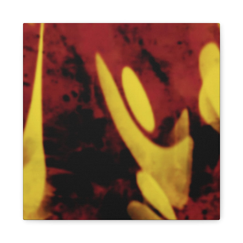 SnapCanvas