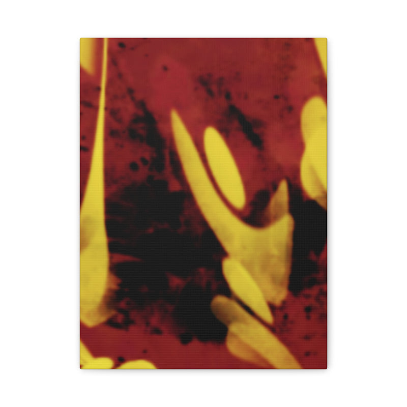 SnapCanvas